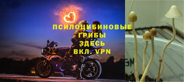 дмт Белоозёрский