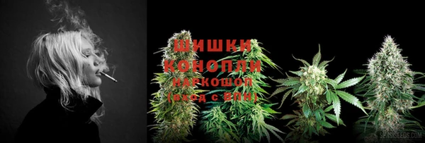 винт Белокуриха