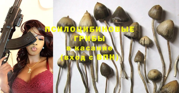 твердый Беломорск