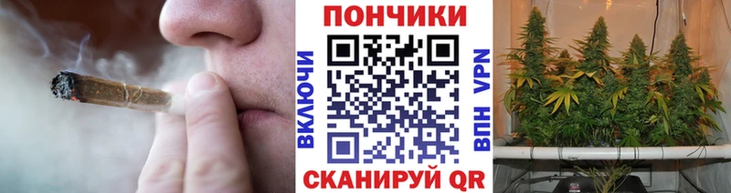 Канабис сатива  Астрахань 